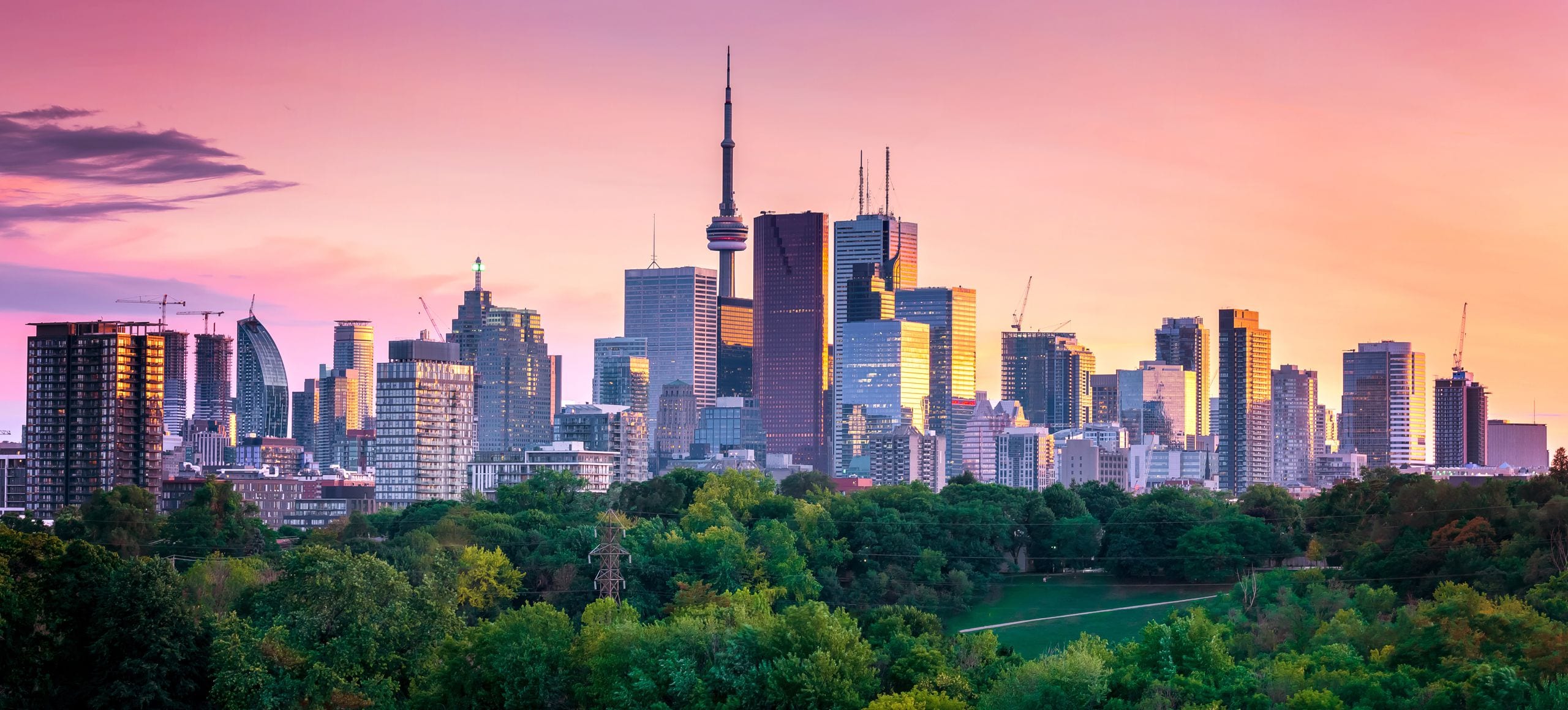 Toronto Real Estate Experts