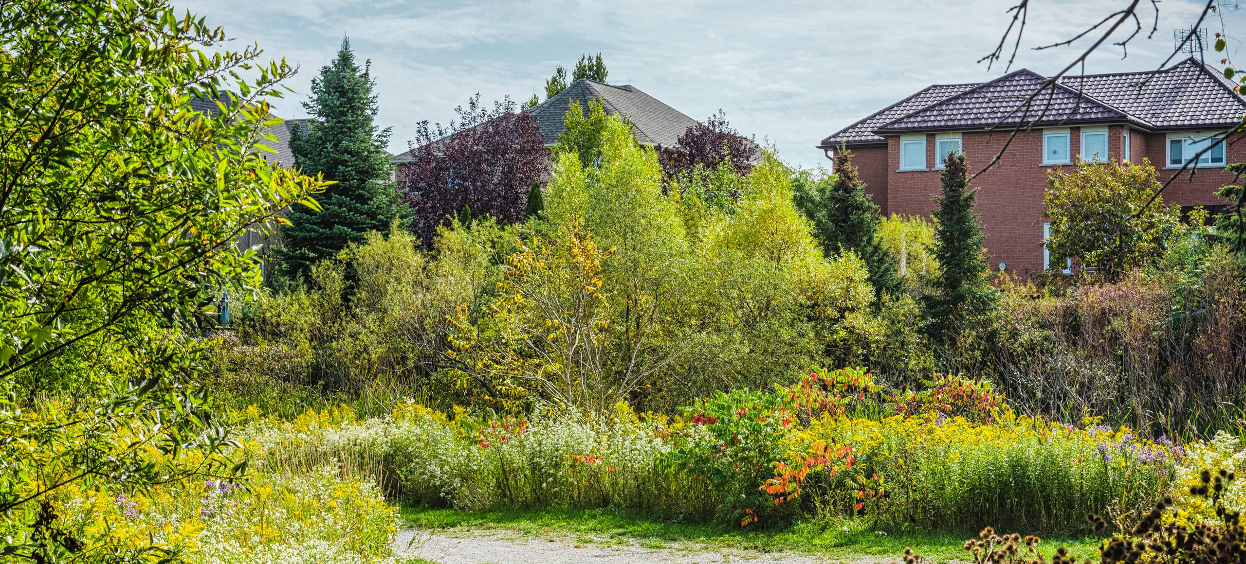 Vaughan Real Estate Specialists
