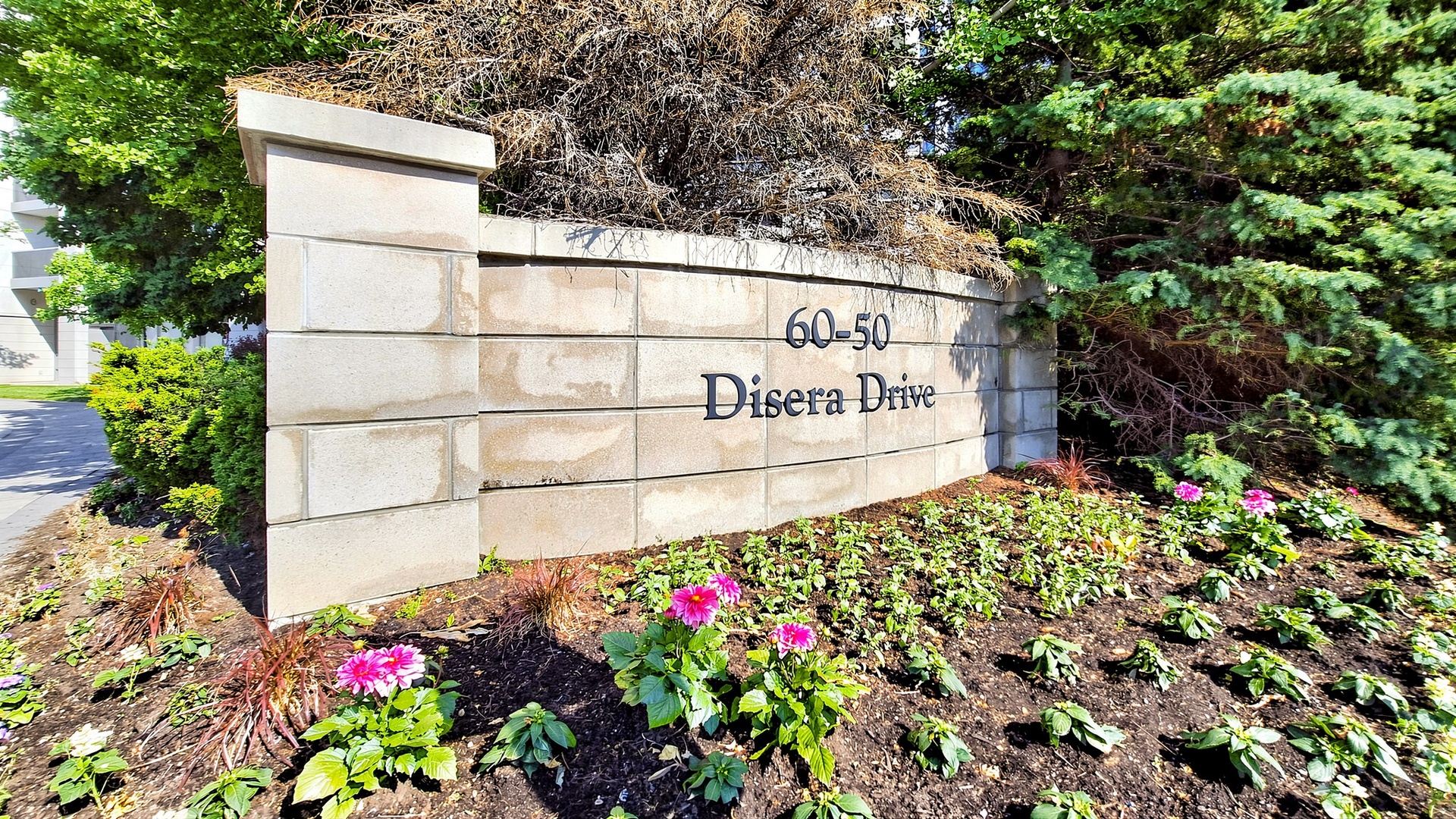 50 Disera Drive #811 (4)