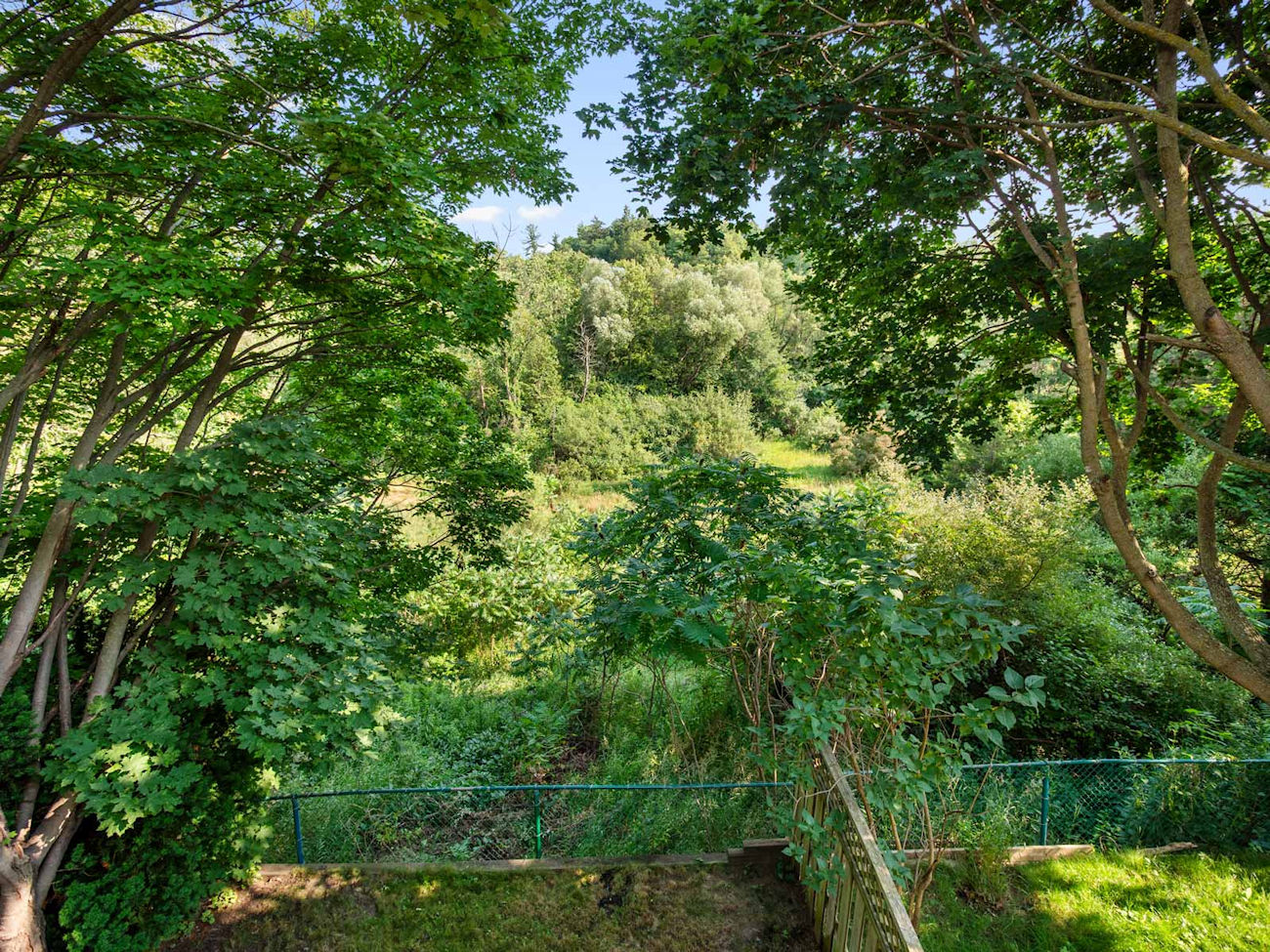 169 Robert Hicks Drive (38)