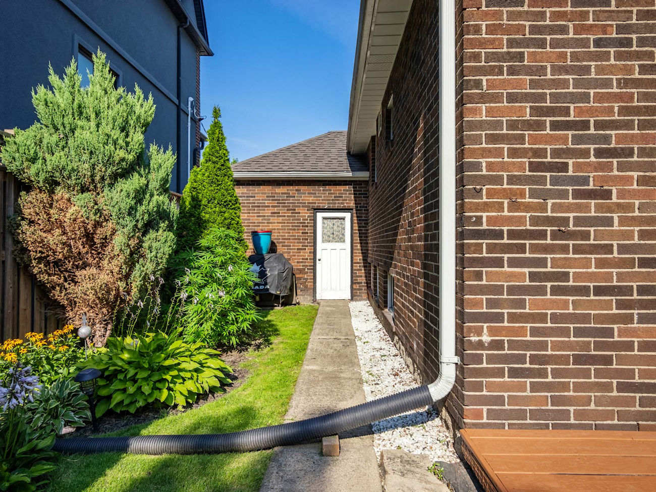 980 Kipling Avenue (33)