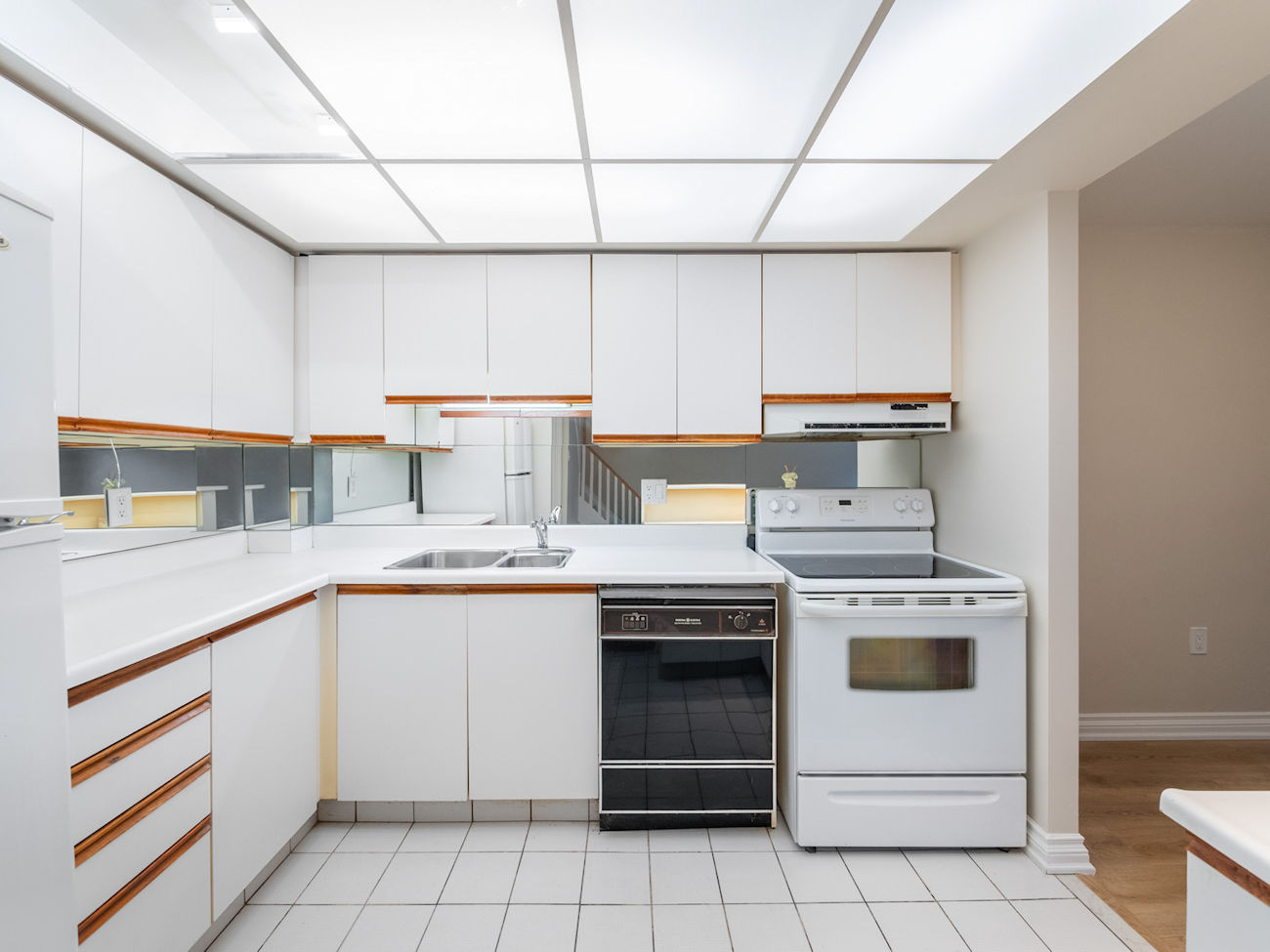 16 Elgin Street Unit 316 (16)