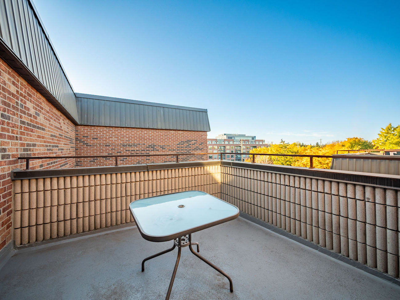 16 Elgin Street Unit 316 (31)