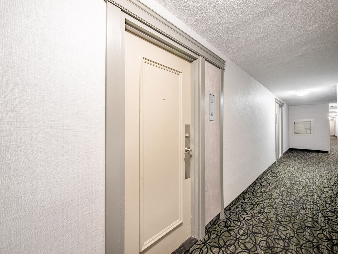 16 Elgin Street Unit 316 (4)