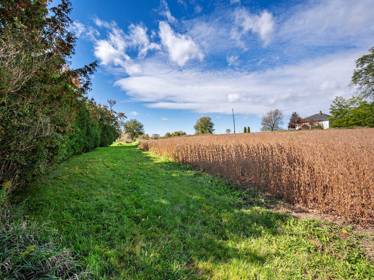 4122 Simcoe County Road 88 (36)
