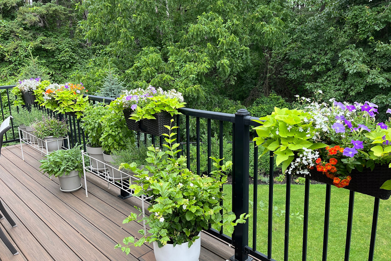 55 Maverick Crescent (44)